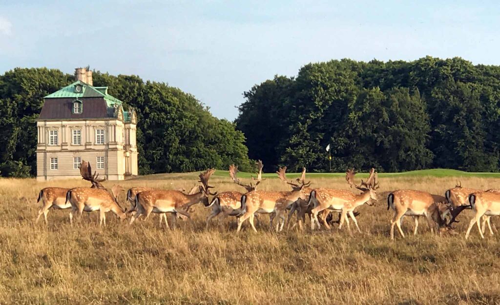 Københavns Golf Klub
